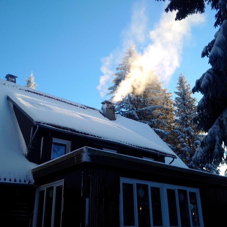 The Cabin - Harz National Park Hotel Sankt Andreasberg Exterior photo