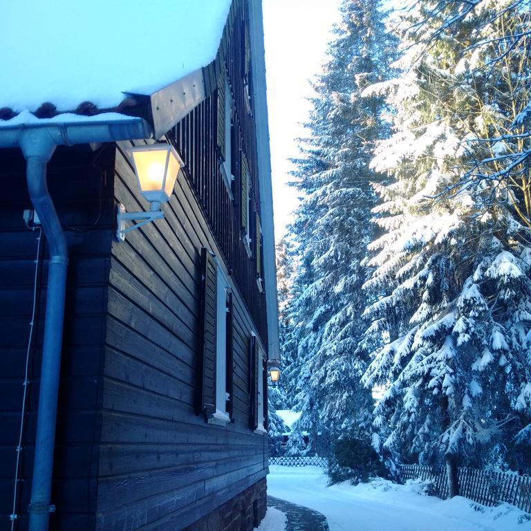 The Cabin - Harz National Park Hotel Sankt Andreasberg Exterior photo